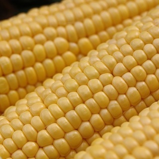 dakekimi-1.jpg