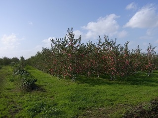 20111118-1.JPG